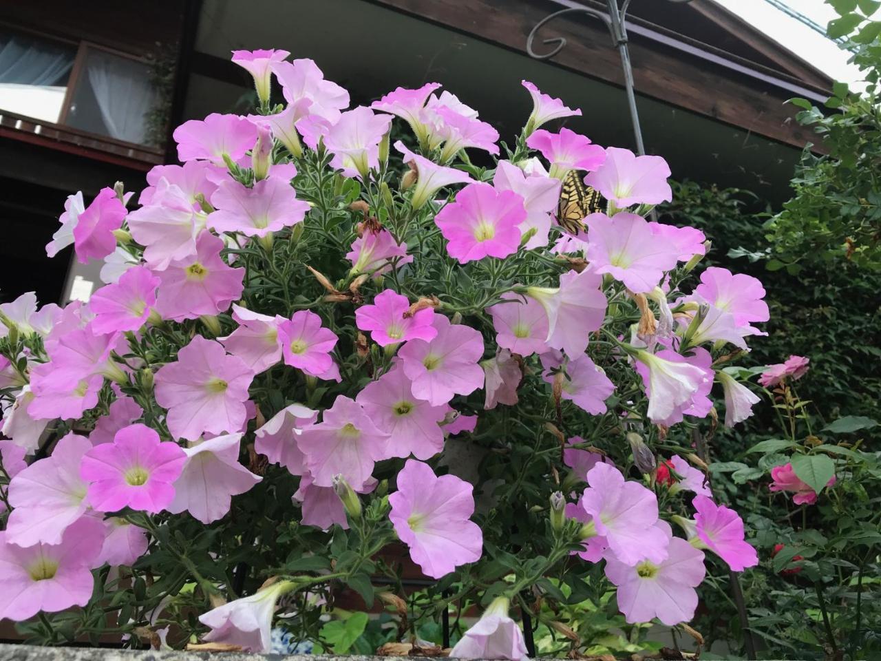 Yamagata Zao Pension Aplon Stage Kaminoyama Exterior photo